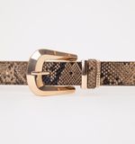 CINTURON-COMBINADO-S442861-2