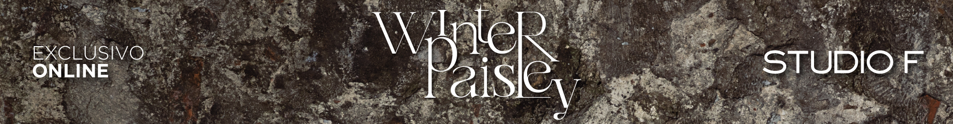 Winter Paisley
