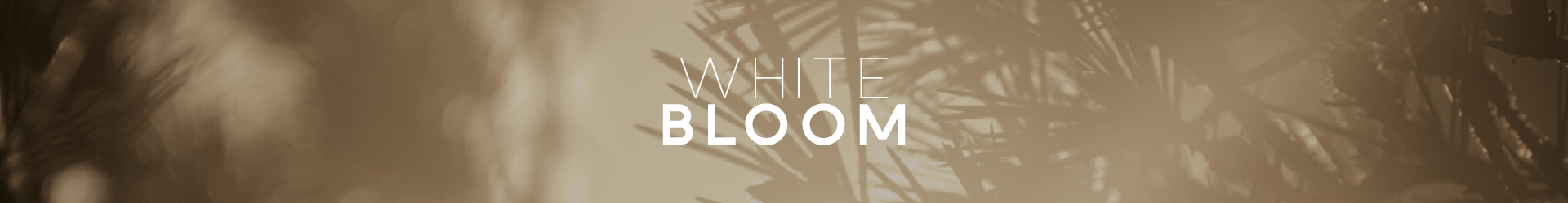 White Bloom