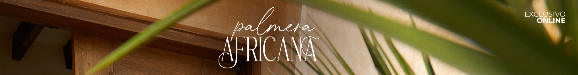 Palmera Africana