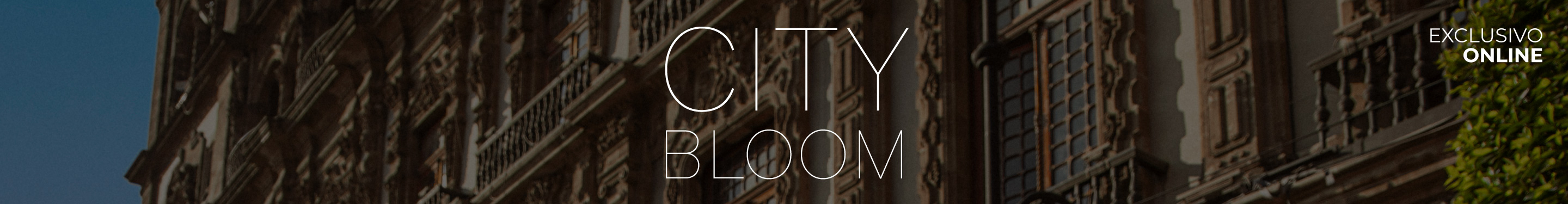 City Bloom  | Studio F Chile