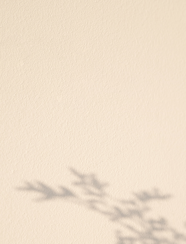 Nueva colección otoño 2026 para mujer Studio F Chile