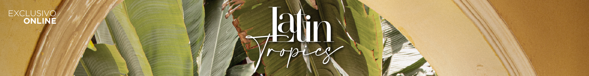 Latin Tropics 